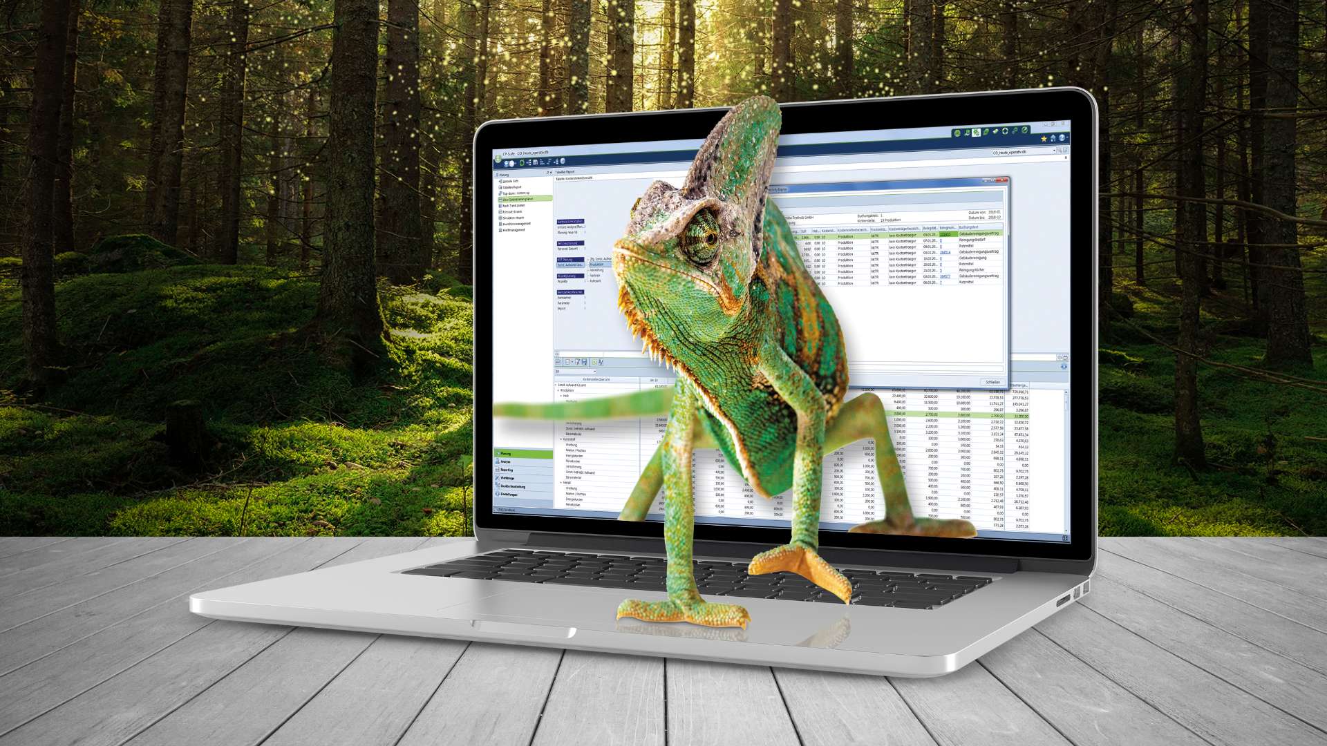 Integrating the Corporate Planning Suite
